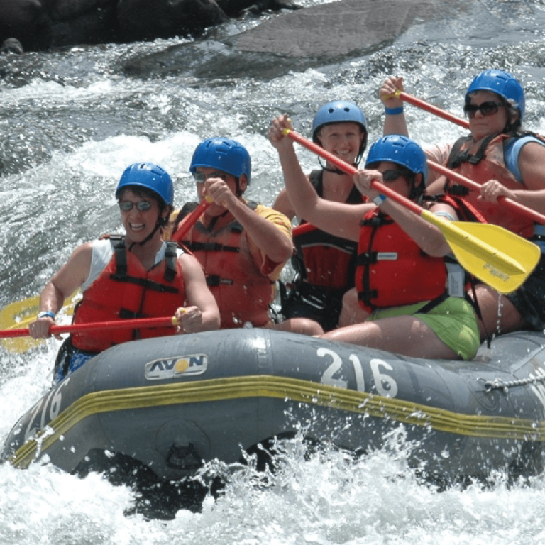 hdhdfh_Mesa de trabajo 1